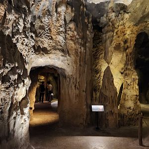 Rainforest Wild Asia- Quiet zone 2