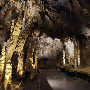 Rainforest Wild Asia- Quiet zone 2