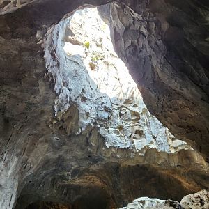 Rainforest Wild Asia- Cavern exit