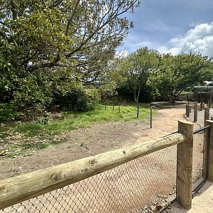 Macropod Walkthrough (Renovations)