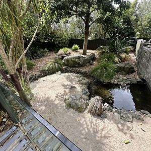 Tasmanian Devil Exhibit (Under Renovation)