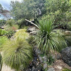 Tasmanian Devil Exhibit