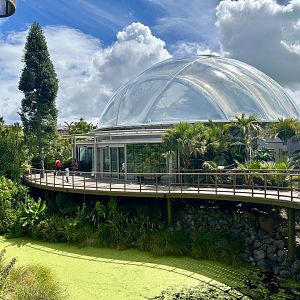 Tropical Dome (Reopened)