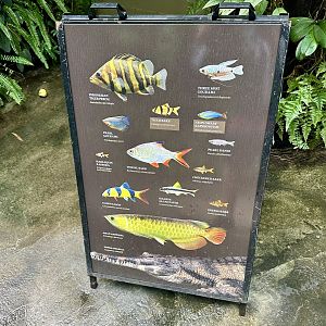 Tropical Dome - Species Board