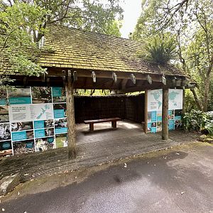 Old Orangutan Viewing Deck