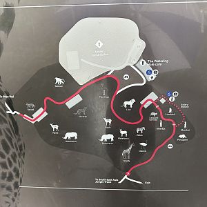 African Precinct Map