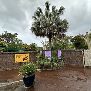 Elephant Exhibit (Redevelopment)