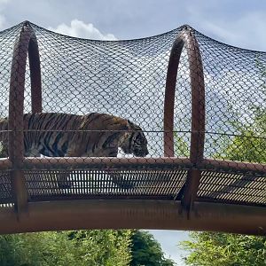 Ramah in Overhead Pathway