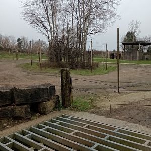 Giraffe outdoor enclosure