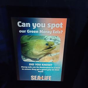 Informative sign about spotting a species