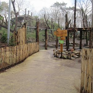 01 2025 - New chimp enclosure: outside viewing point