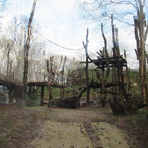 01 2025 - New chimp enclosure outside habitat section