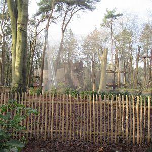 01 2025 - New chimp enclosure outside habitat section