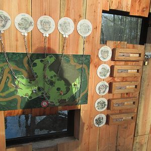 01 2025 - New chimp enclosure vistor viewing point #2