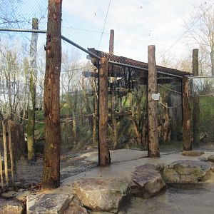 01 2025 - New chimp enclosure viewpoint #3