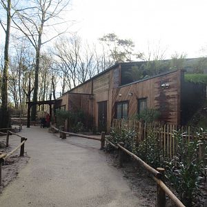 01 2025 - New chimp enclosure visitor entrance inside enclosure