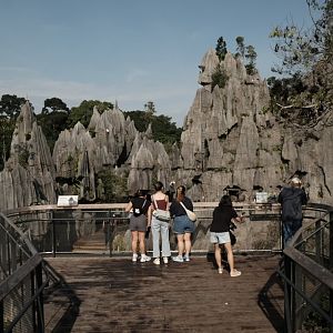 Rainforest Wild Asia - The Karsts Observation Deck