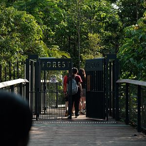 Rainforest Wild Asia - Entrance to the Forest Floor area