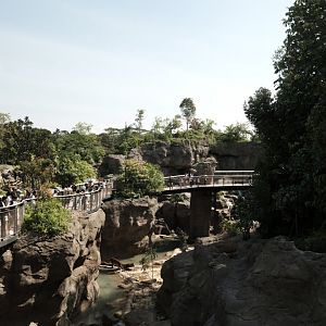 Rainforest Wild Asia - Malayan Tiger Exhibit