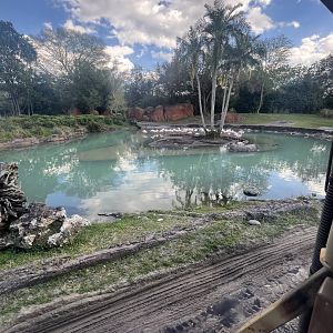 Greater Flamingo Exhibit