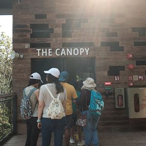 Rainforest Wild Asia - The Canopy Entrance