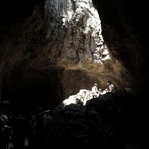 Rainforest Wild Asia - The Cavern - Oculus Spot