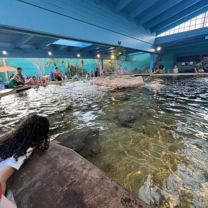 Stingray Lagoon