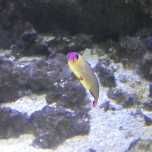 ID? - National Aquarium in Baltimore