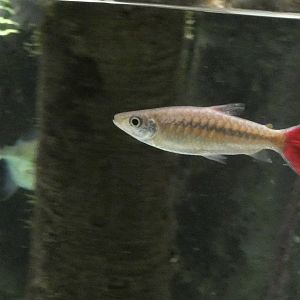 ID? - National Aquarium in Baltimore