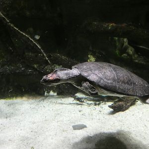 ID? - National Aquarium in Baltimore