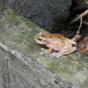 ID? - National Aquarium in Baltimore