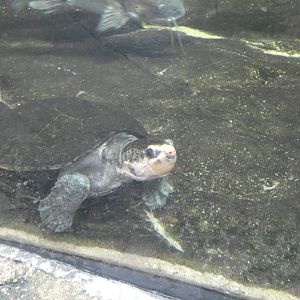 ID? - National Aquarium in Baltimore