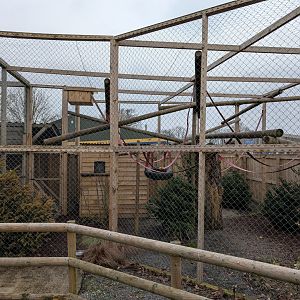 New Lemur? Enclosure, Axe Valley Wildlife Park