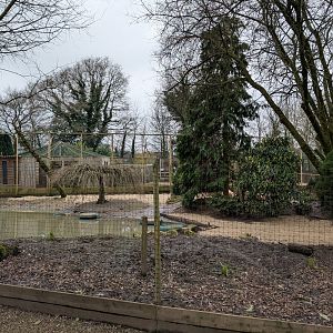 Flamingo Enclosure, Axe Valley Wildlife Park