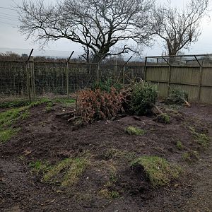 Porcupine Enclosure, Axe Valley Wildlife Park
