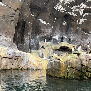 Antarctica: Empire of the Penguin