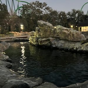 Pacific Point Preserve