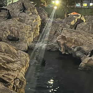 Pacific Point Preserve