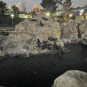 Pacific Point Preserve