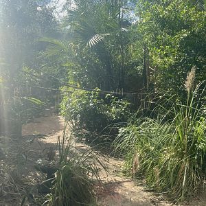 Lion-Tailed Macaque Exhibit