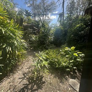 Lion-Tailed Macaque Exhibit