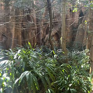 Malayan Flying Fox Exhibit