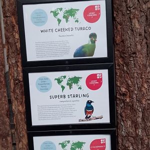 Signage for free flyers 200225