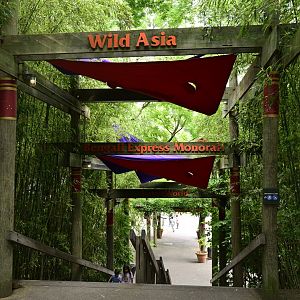 Asia - Entrance Scenery