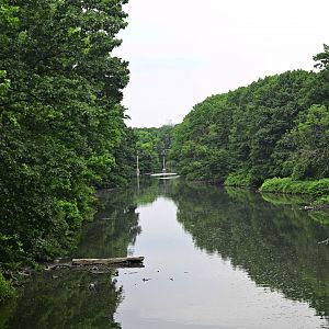 Wild Asia Monorail - View of the Bronx River