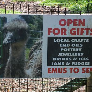 Signage to visitors, Bluebank Blueberry & Emu Farm