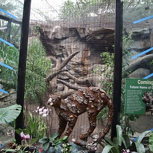Tropical Forest - Future Clouded Leopard Enclosure