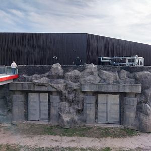 Orientarium - Asiatic Elephant (Elephas maximus) - Elevated walkway