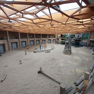 Orientarium - Asiatic Elephant (Elephas maximus)