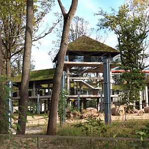 Orientarium - Asiatic Elephant (Elephas maximus) - Elevated walkway